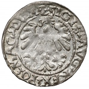 Zikmund II August, půlpenny Vilnius 1560