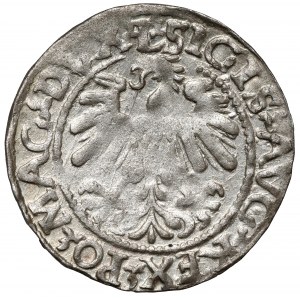 Sigismund II Augustus, Half-penny Vilnius 1560