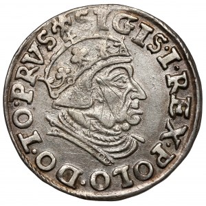 Sigismund I. der Alte, Trojak Danzig 1539