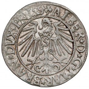 Prusy, Albrecht Hohenzollern, Grosz Królewiec 1545