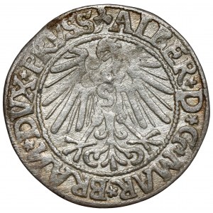 Prussia, Albrecht Hohenzollern, Grosz Königsberg 1545