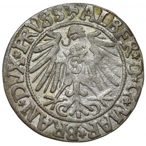 Prusy, Albrecht Hohenzollern, Grosz Królewiec 1543