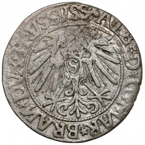 Prussia, Albrecht Hohenzollern, Grosz Königsberg 1545