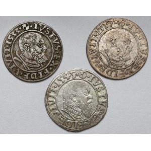 Albrecht Hohenzollern, Königsberg penny 1533-1545 - set (3pcs)