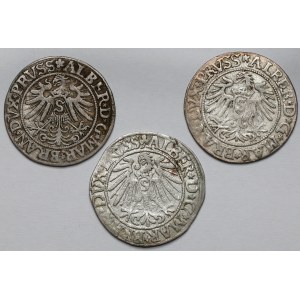 Albrecht Hohenzollern, Königsberg penny 1533-1545 - set (3pcs)