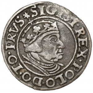 Zikmund I. Starý, Grosz Gdaňsk 1539