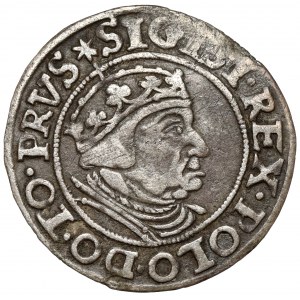 Žigmund I. Starý, Grosz Gdańsk 1539