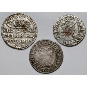 Sigismund I the Old, Penny 1529-1533 - set (3pcs)