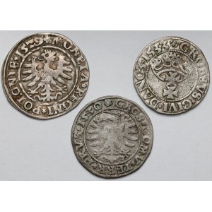 Sigismund I the Old, Penny 1529-1533 - set (3pcs)