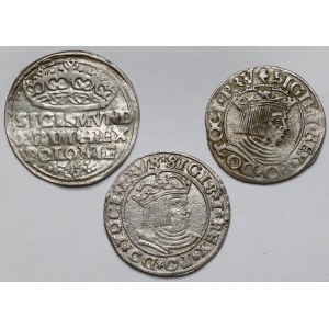 Sigismund I the Old, Penny 1529-1535 - set (3pcs)