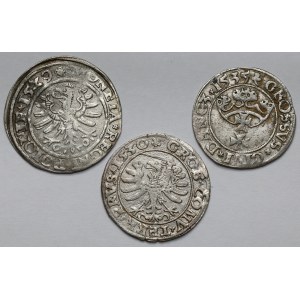 Sigismund I the Old, Penny 1529-1535 - set (3pcs)