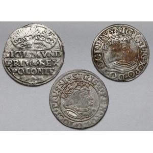 Sigismund I. der Alte, Pfennig 1529-1534 - Satz (3Stück)