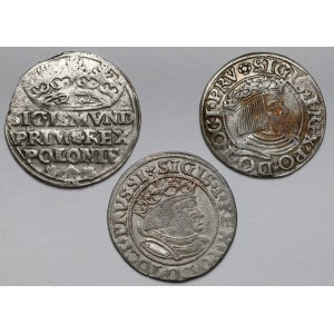 Sigismund I the Old, Penny 1529-1534 - set (3pcs)