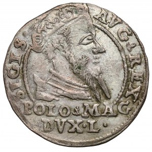 Sigismund II Augustus, Grosz per Polish foot 1567, Tykocin