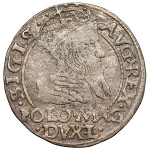 Sigismund II Augustus, Grosz per Polish foot 1566, Tykocin