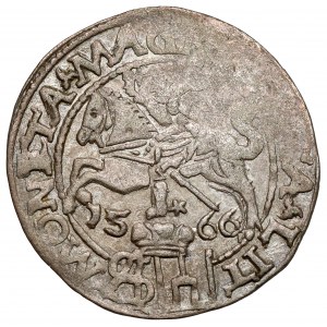 Sigismund II Augustus, Grosz per Polish foot 1566, Tykocin