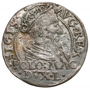 Zygmunt II August, Grosz na stopa polską 1568, Tykocin