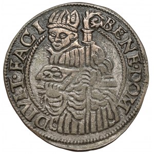 Václav III Adam, Biely Grosz Cieszyn 1560
