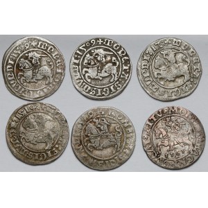 Sigismund I the Old - Sigismund II Augustus, Vilnius half-penny 1509-1561 - set (6pcs)