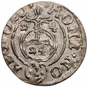 Žigmund III Vasa, Półtorak Bydgoszcz 1624