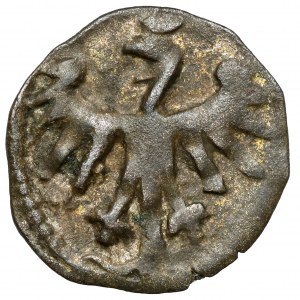 Casimir IV Jagiellonian, Denarius of Cracow - O