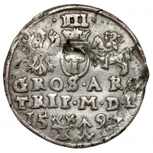 Sigismund III Vasa, Troika Vilnius 1597 - Lidman