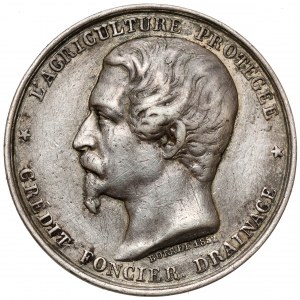 Frankreich, Napoleon III, Medaille 1852 - Agricole de Drainage et d'Irigation