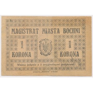 Bochnia, 1 koruna (1919)