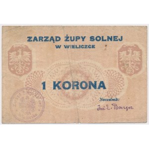 Wieliczka, vedení solného dolu, 1 koruna (1919)