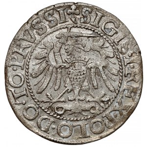 Sigismund I. der Alte, Pfennig Elbląg 1540 - zuletzt