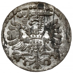 Zikmund III. Vasa, denár Gdaňsk 1596