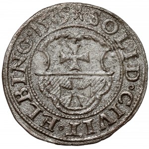 Sigismund I. der Alte, Elbląg 1539