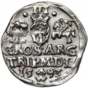 Sigismund III Vasa, Troika Vilnius 1593 - Dyla