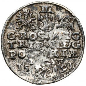 Sigismund III. Vasa, Trojak Olkusz 1591 - dekorativ