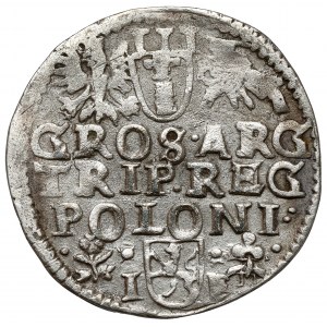 Zygmunt III Waza, Trojak Wschowa 1596