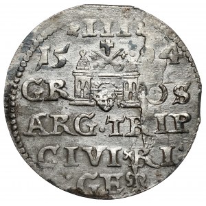 Sigismund III Vasa, Troika Riga 1594 - LI - lily pad