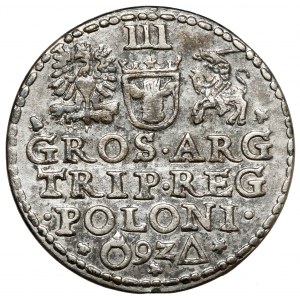 Sigismund III Vasa, Trojak Malbork 1592