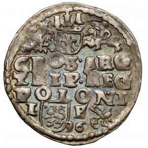 Žigmund III Vaza, Trojak Lublin 1596 - dátum nie je odlíšený - vzácne