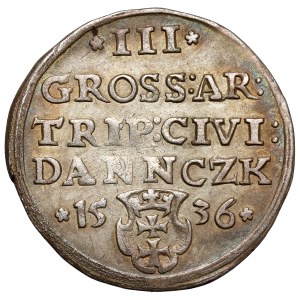 Zygmunt I Stary, Trojak Gdańsk 1536