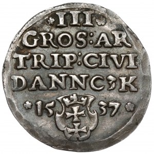 Zygmunt I Stary, Trojak Gdańsk 1537 - wczesny