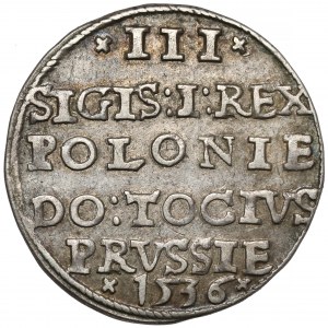 Žigmund I. Starý, Trojak Elbląg 1536