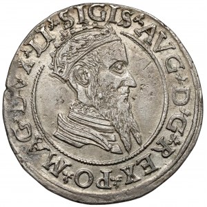 Sigismund II Augustus, Fourfold Vilnius 1568 - unstylized