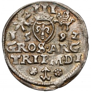 Zikmund III Vasa, Trojka Vilnius 1592