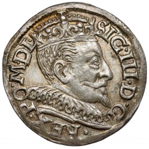 Sigismund III. Vasa, Troika Vilnius 1593 - Dyla