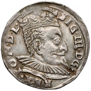 Sigismund III. Vasa, Troika Vilnius 1596 - Koste