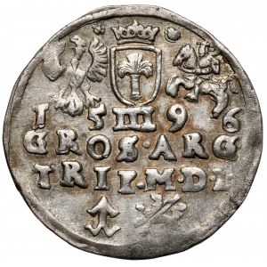 Žigmund III Vasa, Trojka Vilnius 1596 - Koste