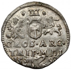 Sigismund III Vasa, Troyak Vilnius 1598 - Swan - BEAUTIFUL