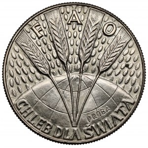 Próba CuNi 10 złotych 1971 FAO Kłosy