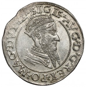 Žigmund II August, Štvornásobný Vilnius 1568 - štylizované