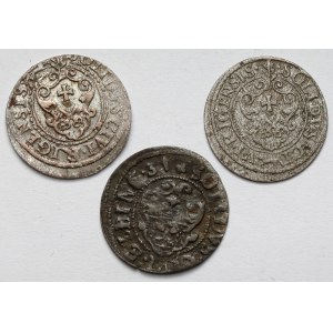 Sigismund III Vasa and Gustavus II Adolphus, Shelters 1620-1631 - set (3pcs)